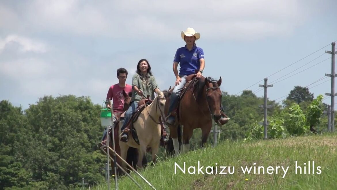 Guidoor 伊豆市・観光PR動画　Izu City IZU tourism promotion